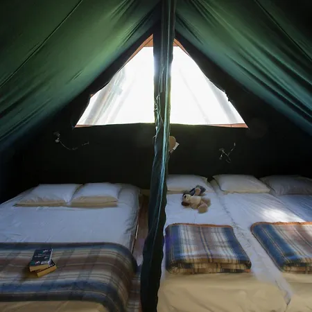 Huttopia De Roos Stegeren Room photo